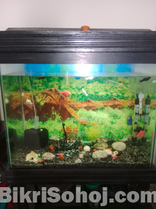 Aquarium